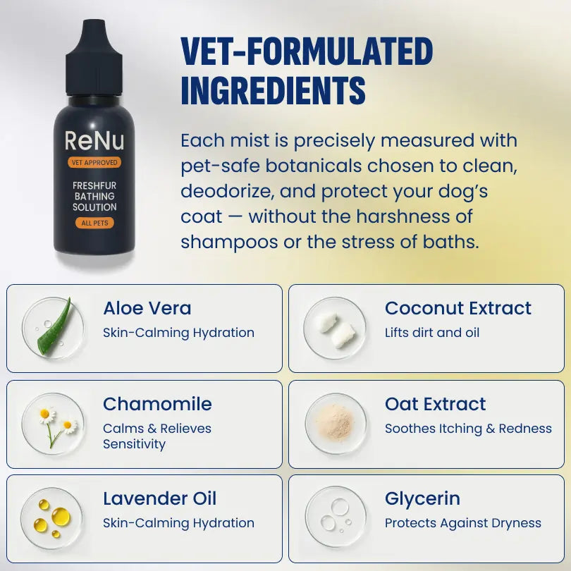 Complete Multi-Pet Grooming System