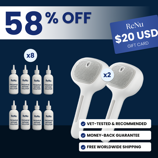 Dual Brush Family Bundle