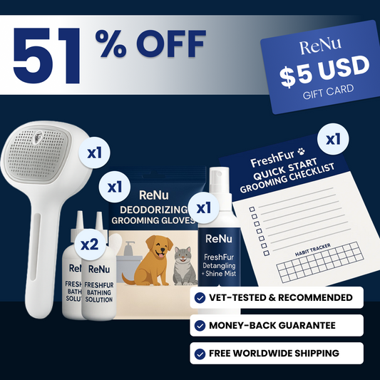 Pet Parent Starter Gift Box