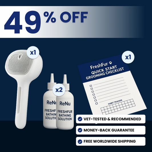 Starter Grooming Kit