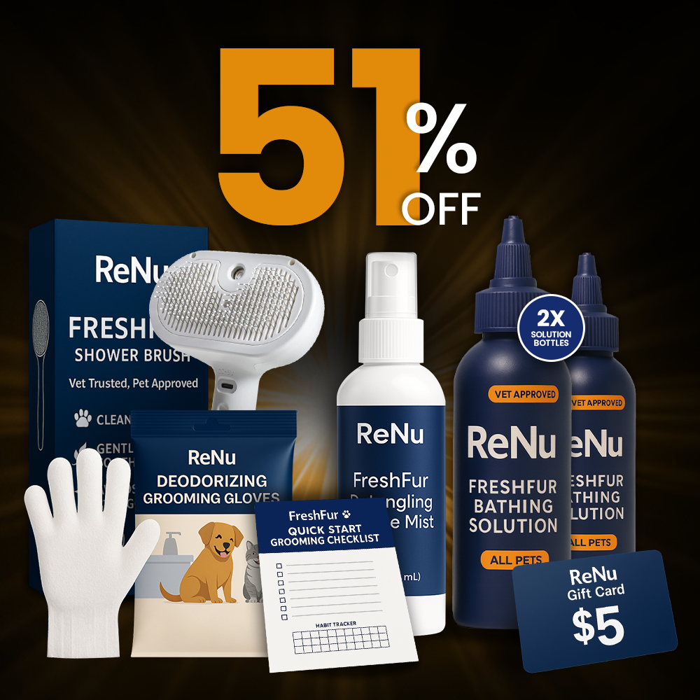 Pet Parent Starter Gift Box