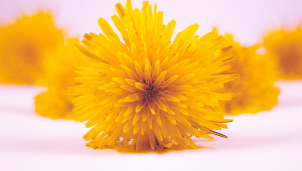 Calendula Extract