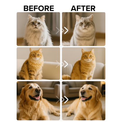 FreshFur Shower Brush + Bathing Solution