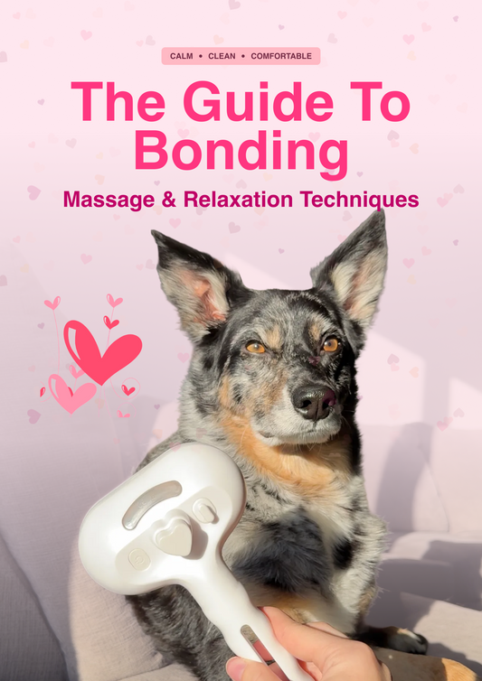 The Guide to Bonding: Massage & Relaxation Techniques