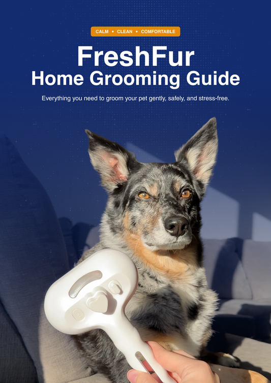 The 5-Minute Guide to Stress-Free Grooming