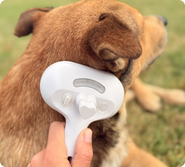 Makes Coat Shinier, Softer & Healthier