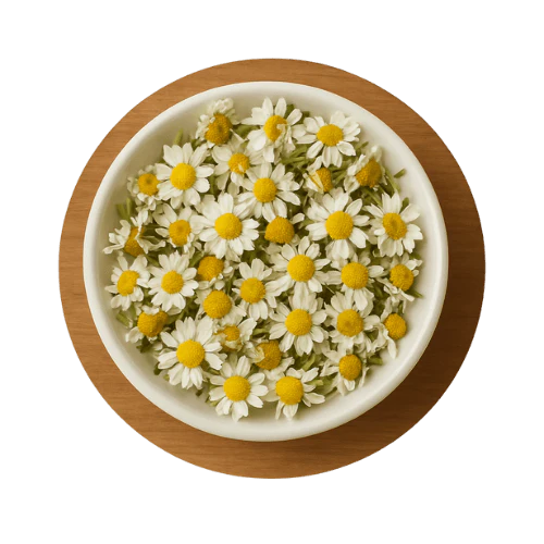 2 Month Supply - 2 Extra FreshFur Bathing Solution Bottles