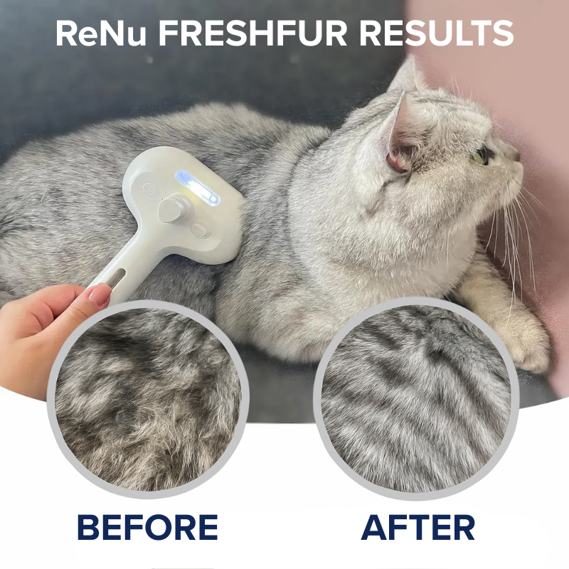 FreshFur Shower Brush + Bathing Solution